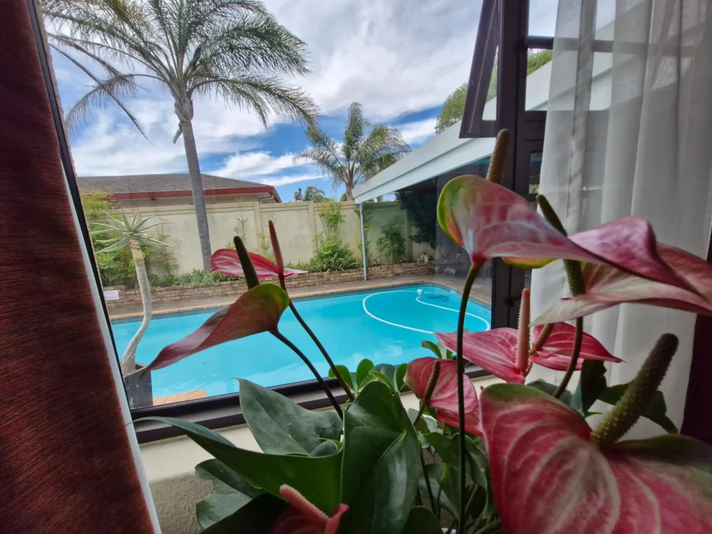 The Mustard Room with Poolside view